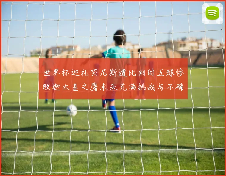 世界杯巡礼突尼斯遭比利时五球惨败迦太基之鹰未来充满挑战与不确定性