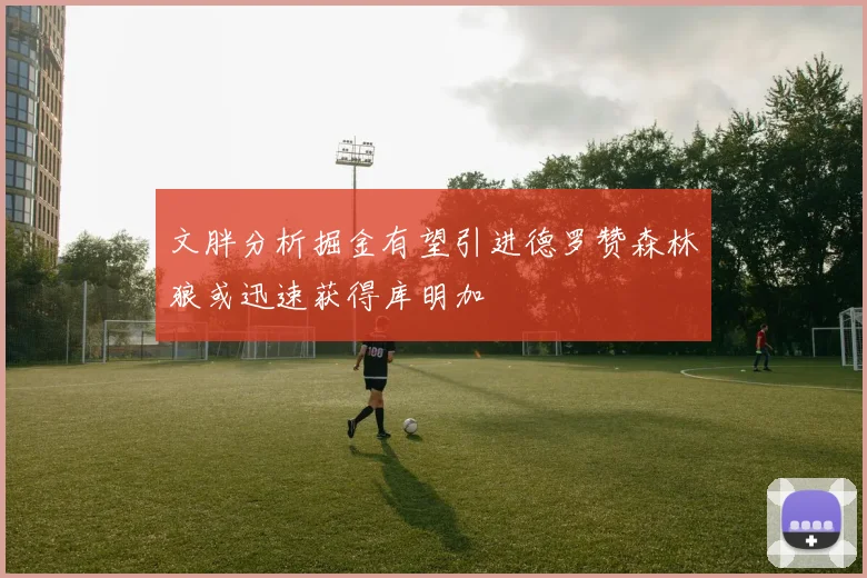 文胖分析掘金有望引进德罗赞森林狼或迅速获得库明加