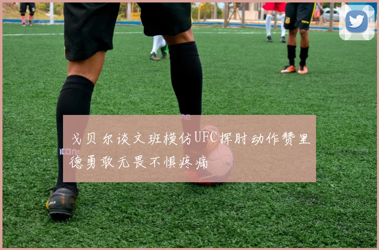 戈贝尔谈文班模仿UFC挥肘动作赞里德勇敢无畏不惧疼痛