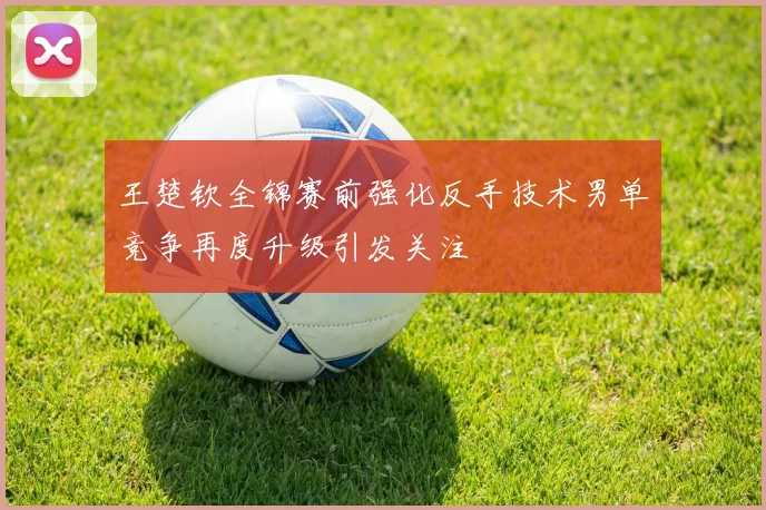 王楚钦全锦赛前强化反手技术男单竞争再度升级引发关注